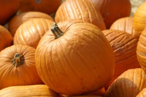 Need a reason to eat some delicious fall pumpkin? Here are six of them!