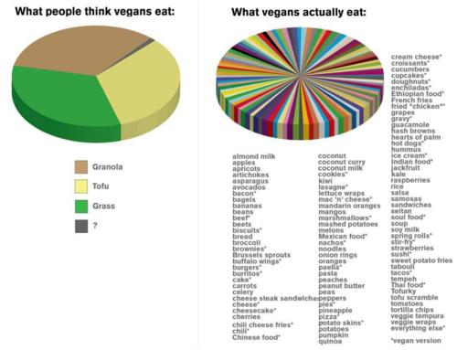 What Vegans Eat: A Helpful Pie Chart
