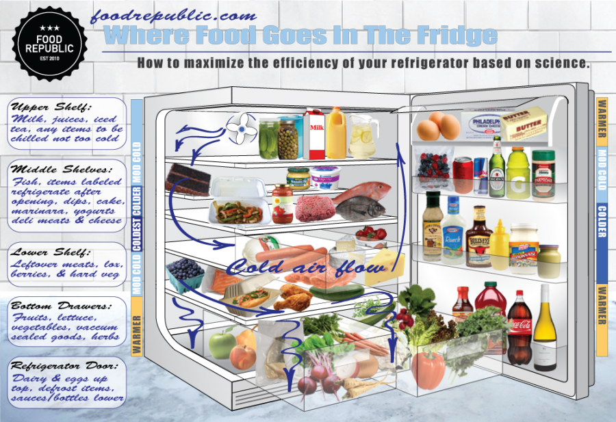 fridge food where goes refrigerator store proper properly placement foods items which storing way right placed storage should shelf put