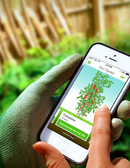 Want to grow a bit of fresh food in your backyard, but struggling to iron out the details? A boatload of online tools can guide you, including a newcomer to the web: Sprout it.