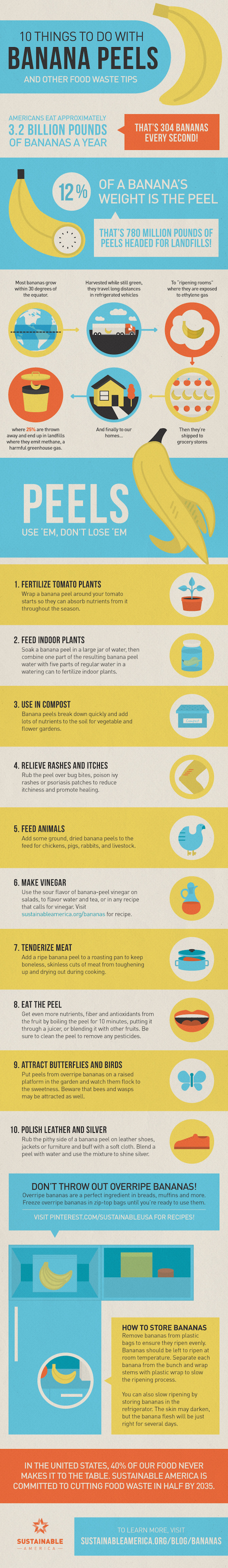 10+ Ways to Reuse Banana Peels