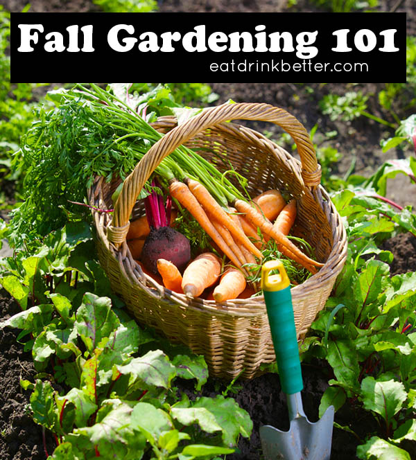 Fall Garden Guides for Your Vegetable Garden