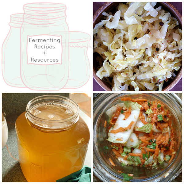Fermenting Video and Resources for Home Fermentation