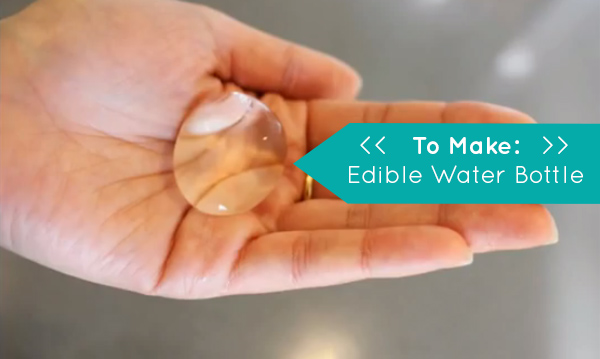 What if your water bottle was edible?