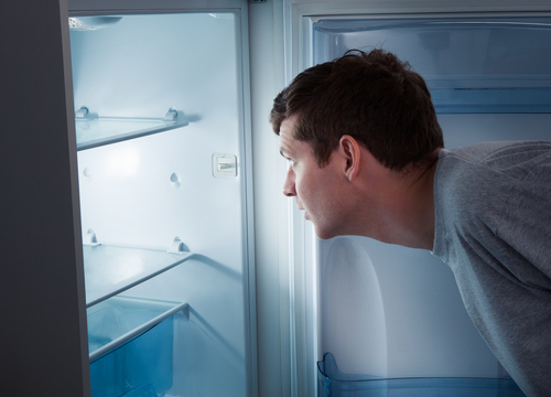 Learn How a Refrigerator Works to Conserve Energy in the Kitchen