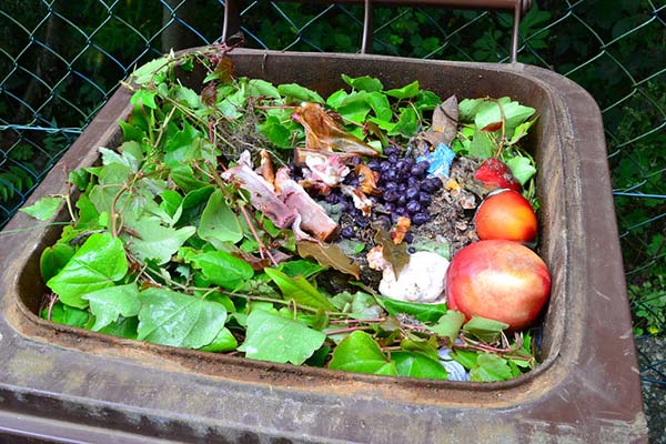 Mandatory Composting Laws in MA, WA