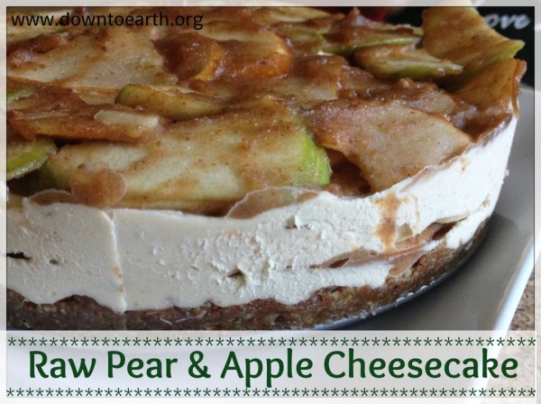Plant-Based Holiday Recipes: Raw Cheesecake