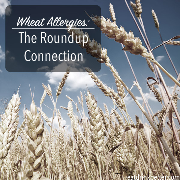 Could wheat allergies be a pesticide problem?