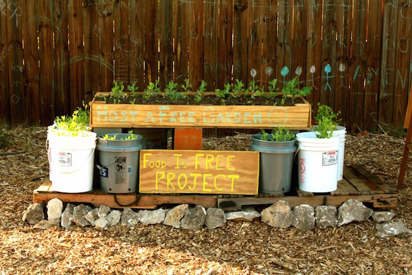 5 Steps to Start a Front Yard Community Garden