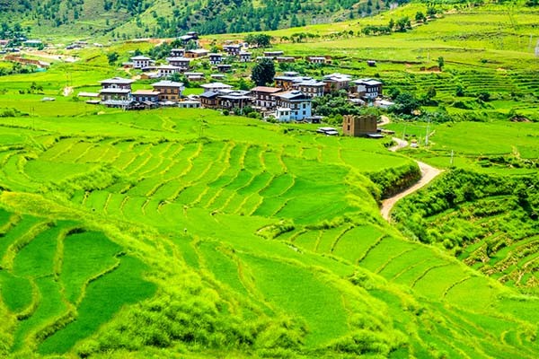 Bhutan Organic Pledge: Country to go 100% Organic by 2020