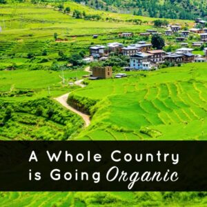 Bhutan, the first country to pledge to go fully organic by the year 2020. This is a big deal for those passionate about organic foods and has the potential to make a big impact on food and farming policy around the world.