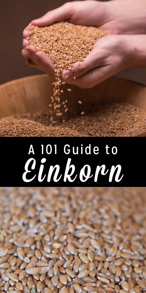 Einkorn is an ancient wheat that offers a way to expand the selection of whole grains in your pantry.