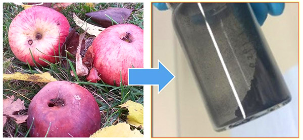 Who says batteries don't grow on trees? German researchers are working on a food waste battery that runs on waste from the apple processing industry.