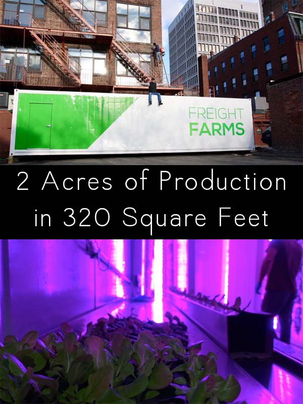 Meet the shipping container garden that produces 2 acres of food in 320 square feet!