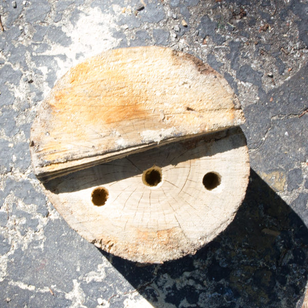 Make your garden even more pollinator-friendly by building a DIY mason bee house. It's easy!