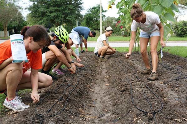Orlando-based Fleet Farming is increasing local food production, one front lawn at a time.