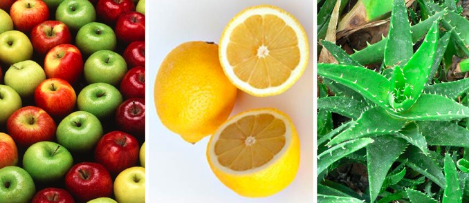 Eight Foods for Healthy Skin
