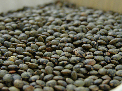 Organic French Lentils