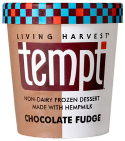 Vegan Ice Cream Challenge: Tempt Chocolate Fudge