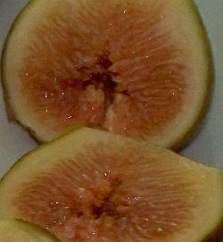 Fig sliced in half