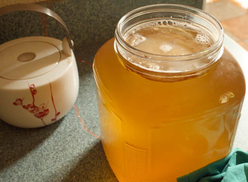 5 Best Fermented Foods for Your Health (and why you should eat them!)