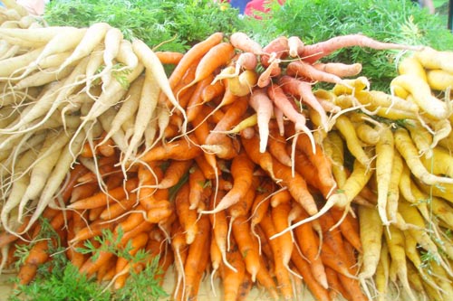 Fall Foods: Carrots