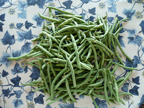 String Bean Recipe That’s a Crowd Pleaser – Eat Drink Better