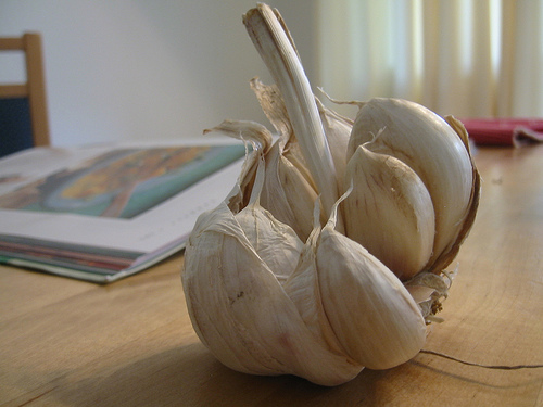 Fall Recipes: Garlic