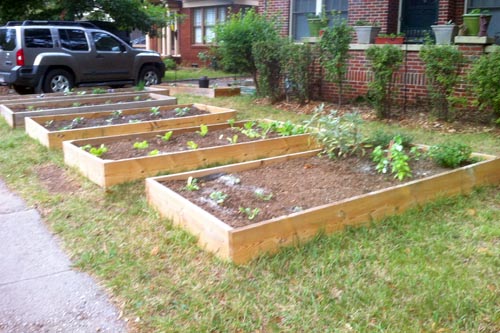 Download Raised Garden Front Yard Pics