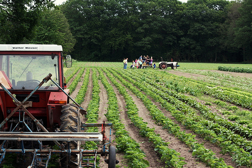Penn State Receives Grant to Study Organic Farming