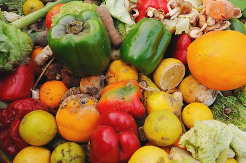 Got Food Waste? Read On For Tips To Reduce It