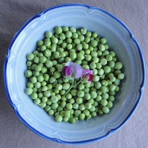 Fresh Spring Pea Soup: Delicious Hot or Cold