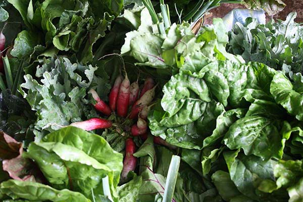 Leafy Greens for Bone Health