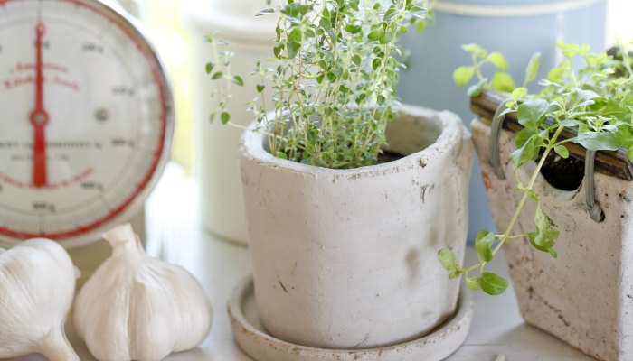 How to Grow Herbs in a Kitchen Garden