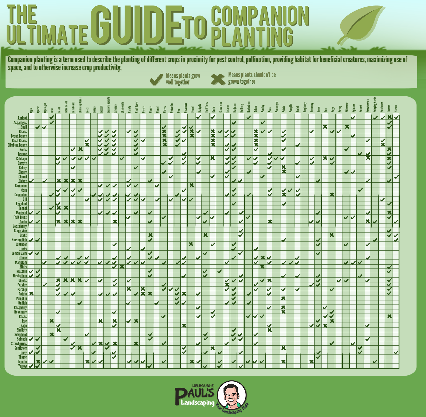 companion planting planner