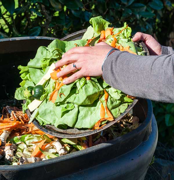How To Make Compost From Kitchen Waste At Home - Sprinkle some water if you find the pile too dry.