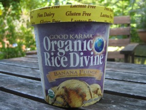 Vegan Ice Cream Challenge: Good Karma Organic Rice Divine