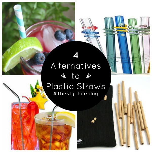 Thirsty Thursday: 4 Plastic-Free Straws for Sustainable Sipping