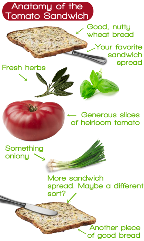 10 Vegan Sandwiches for Back to School