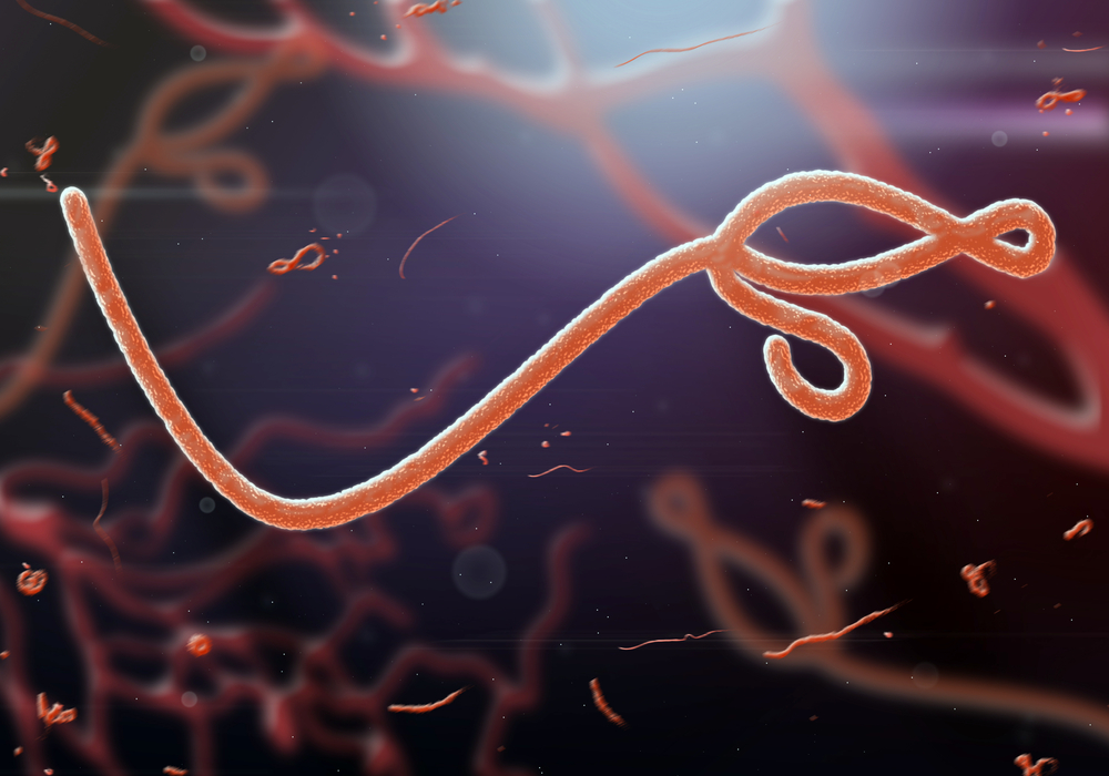 Ebola Virus Cannot Be Cured, Prevented by Dietary Supplements