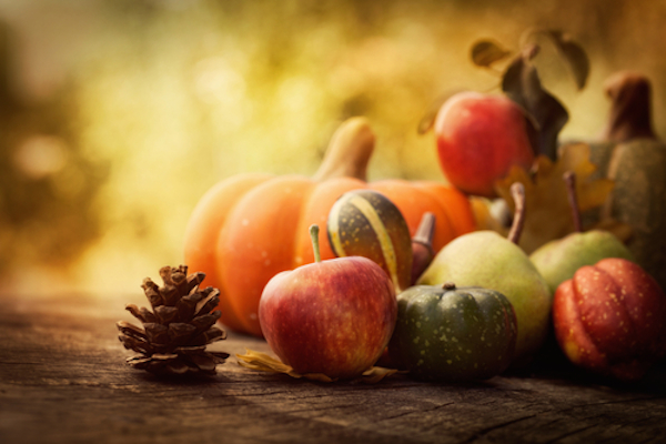 Healthy Thanksgiving Tips for a Fit Feast [Infographic]