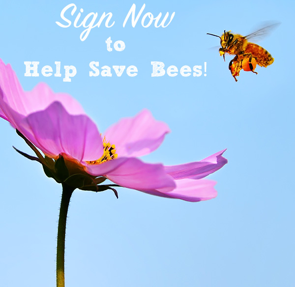 Tell President Obama: It's time to ban toxic bee-killing pesticides!