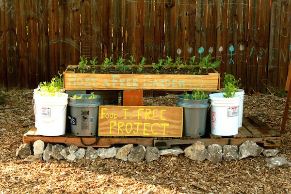 5 Steps to Start a Front Yard Community Garden #FoodisFree – Eat Drink