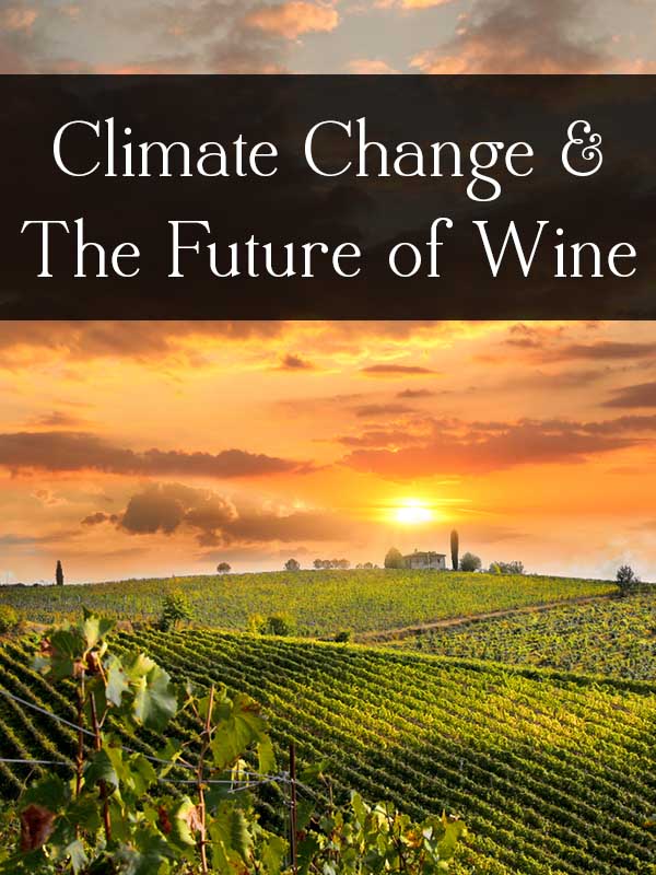 How Climate Change is Impacting Wine Production (and vice versa)