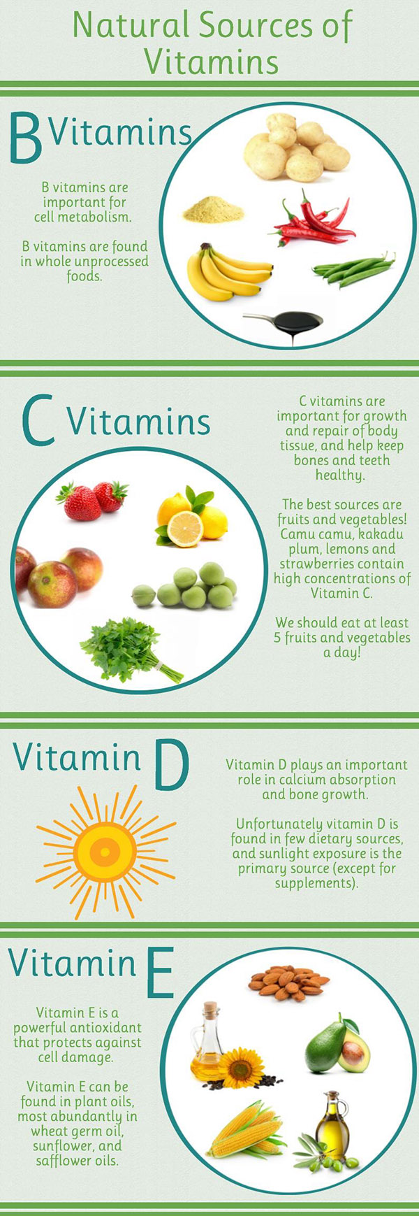 Eat Your Vitamins: Plant-Based Food Sources for Essential Vitamins ...