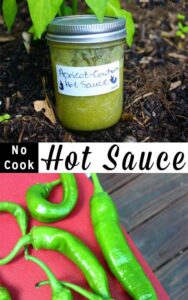 This is a super quick and easy green hot sauce recipe. No roasting or boiling required!