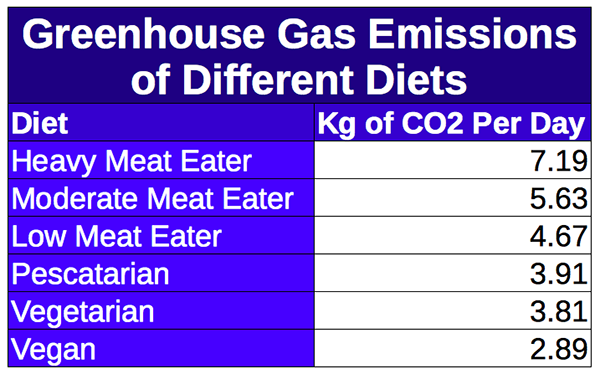 There is  a direct correlation between eating more plants and reducing your carbon footprint.