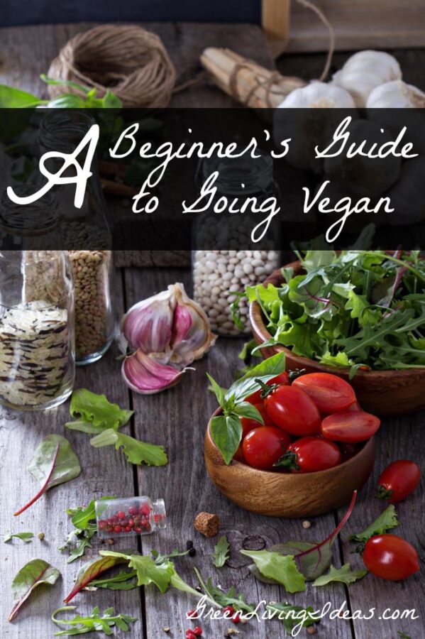A Beginner's Guide to Eating Vegan