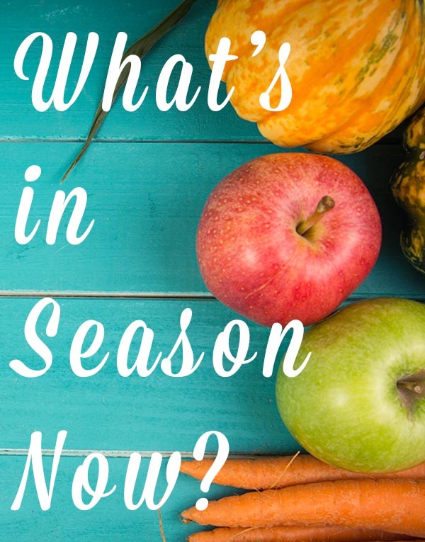 Find out what's in season now, plus get plenty of recipe inspiration to help you make the most of every season's beautiful, local fare.