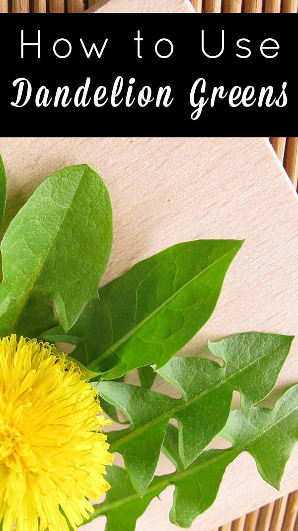Dandelion greens are health powerhouses. Learn how to cook with dandelion greens and what makes them so good for you.